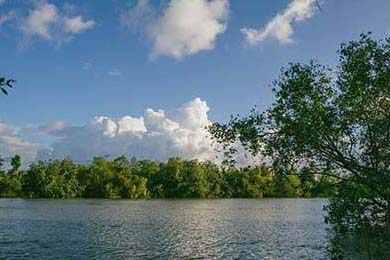 U.S. Stocks Notch Fifth Consecutive Day of Gains: A Glimpse into Tomorrow's Economic Horizon