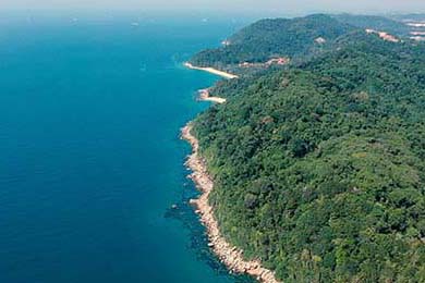 U.S. Stocks Notch Fifth Consecutive Day of Gains: A Glimpse into Tomorrow's Economic Horizon