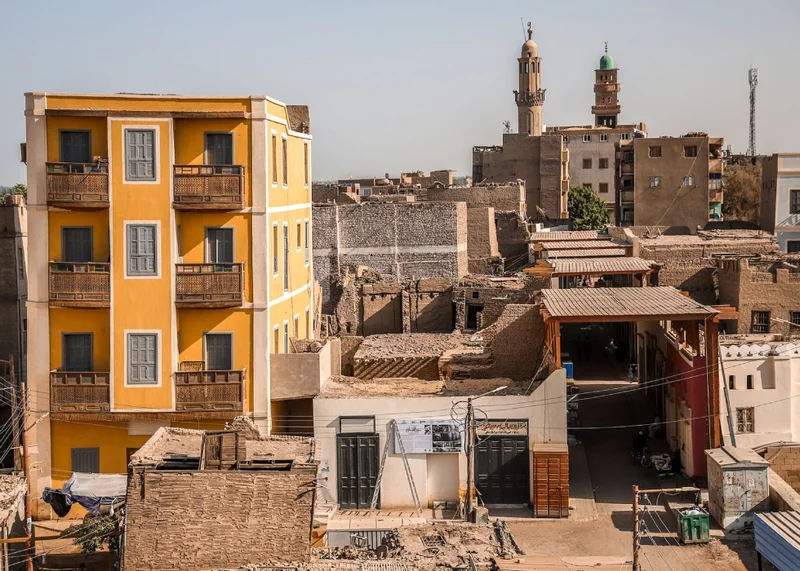 Pink Pineapple: Celebrity Endorsement vs. Market Reality. (Reddit's Obsessed)